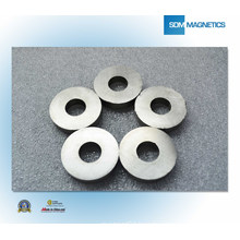 China ISO/Ts 16949 Certificated Ring Magnet